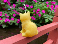 Kitten Beeswax Candle - BIG FRENCHIES