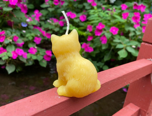 Kitten Beeswax Candle - BIG FRENCHIES