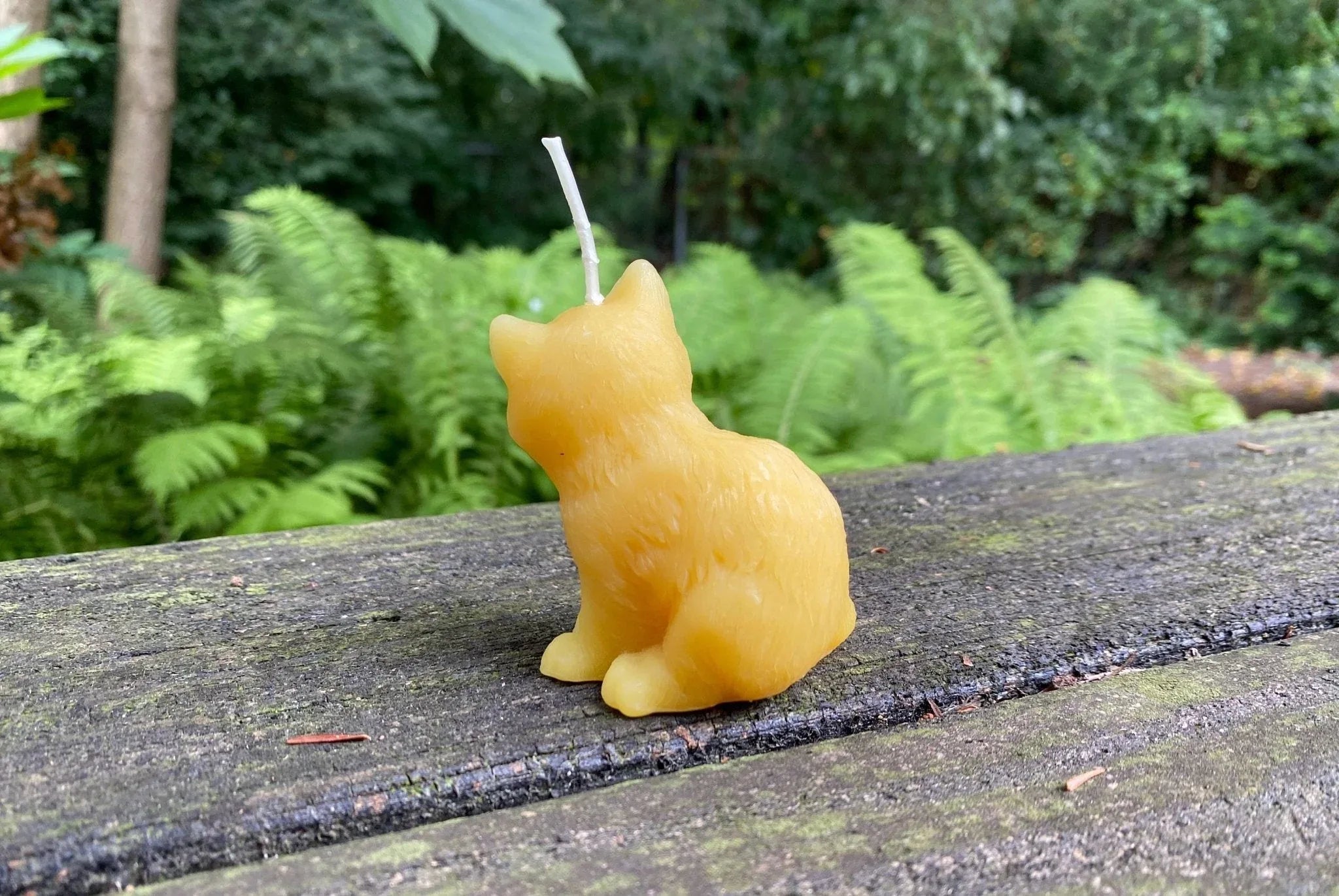 Kitten Beeswax Candle - BIG FRENCHIES