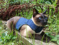 Kitty Holster Cat Harness (Made in USA)