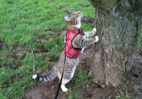 Kitty Holster Cat Harness (Made in USA)
