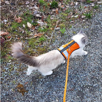 Kitty Holster Cat Harness (Made in USA Reflective Safety Harness)
