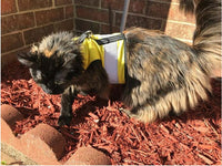 Kitty Holster Cat Harness (Made in USA Reflective Safety Harness)