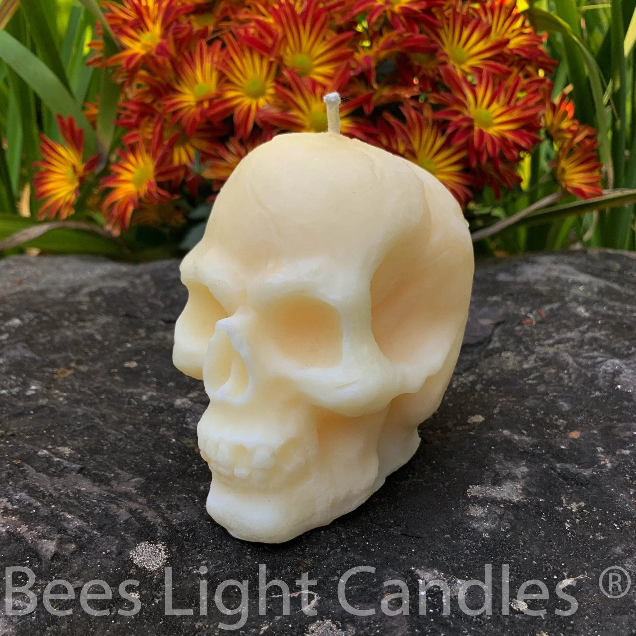 Large Skull Beeswax Candle (White or Yellow) - BIG FRENCHIES