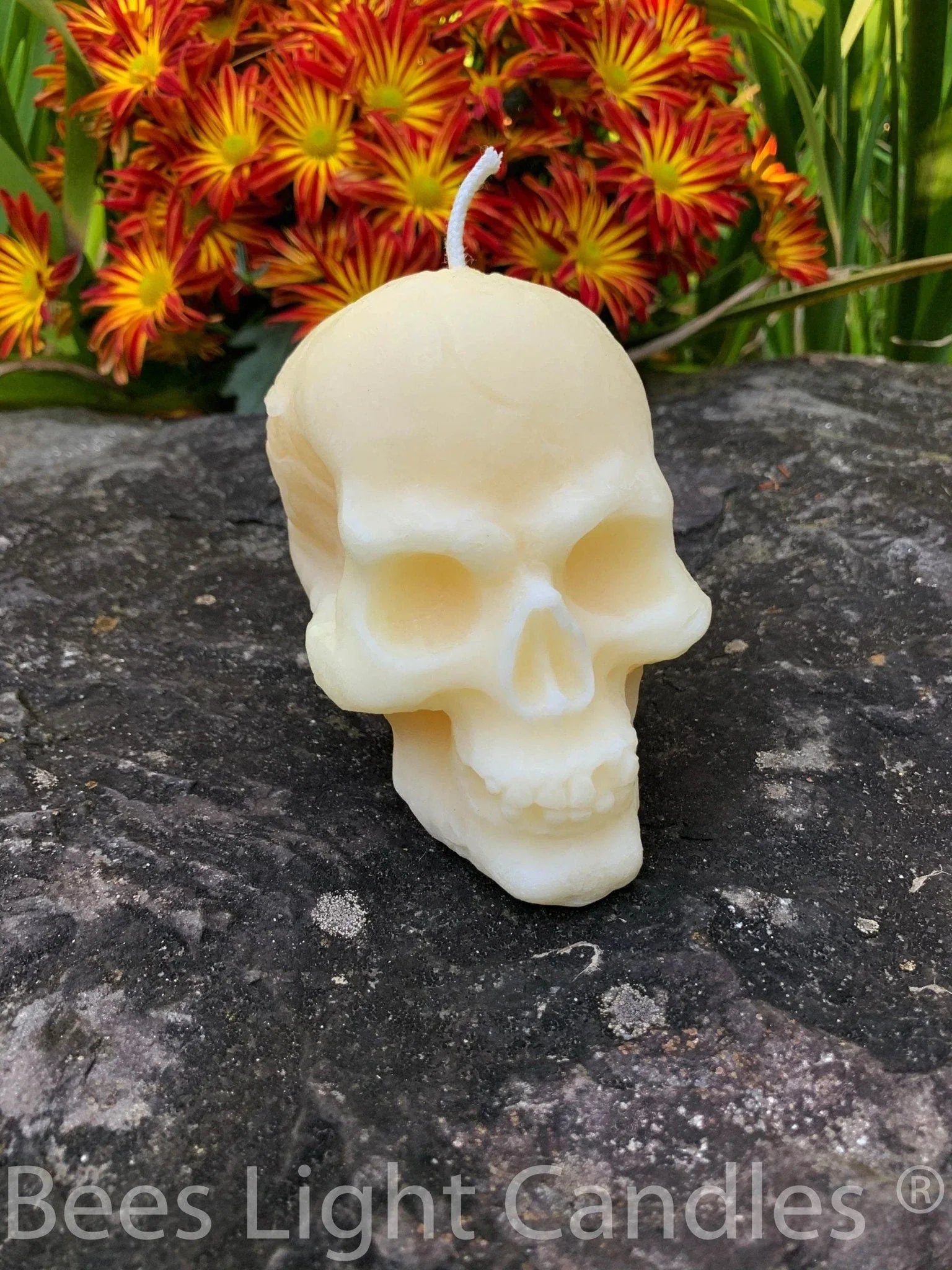 Large Skull Beeswax Candle (White or Yellow) - BIG FRENCHIES