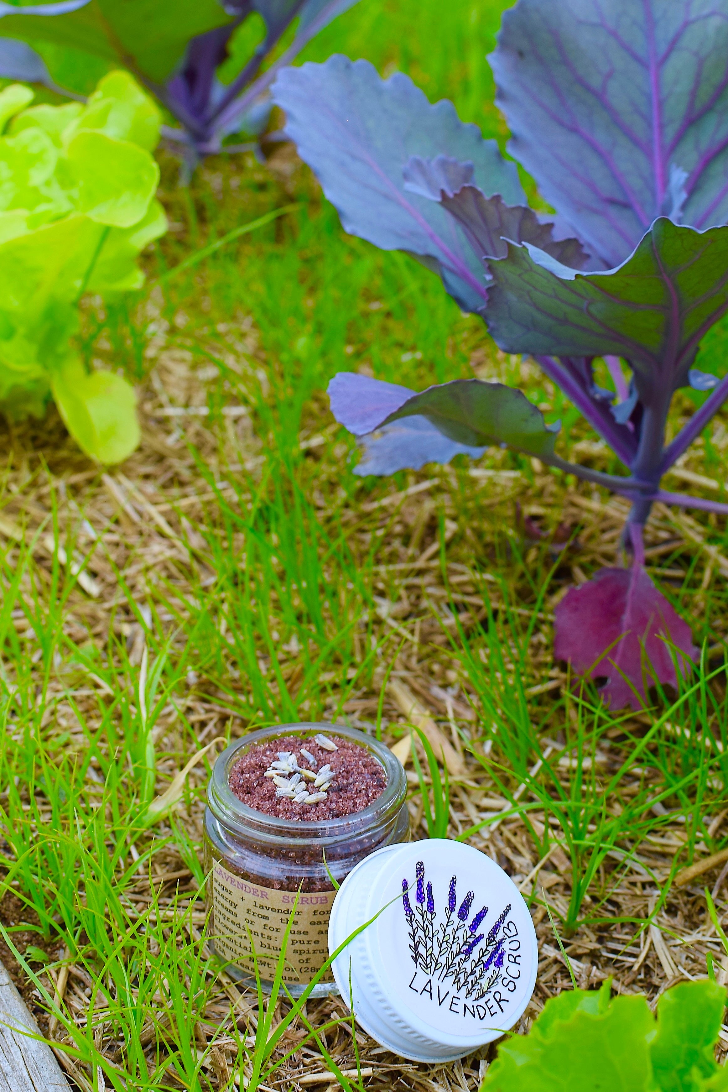 Lavender Scrub - BIG FRENCHIES