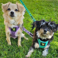 EcoBark Lavender Step In Dog Harness - Reflective Soft Mesh Harness for Teacup, Small Dogs and Puppies - BIG FRENCHIES