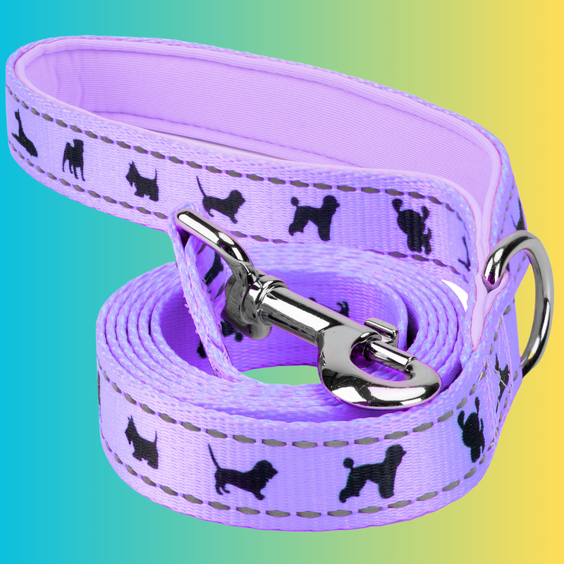 EcoBark Lavender Dog Leash - Comfort Grip Padded Leash - 4ft, 5ft, and 6ft for Small and Medium Dogs - BIG FRENCHIES