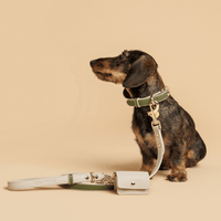 Leash 4ft - Vegan Leather