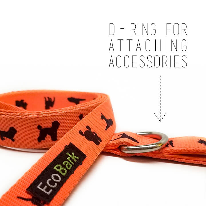EcoBark Safety Orange Dog Leash- Padded Comfort Grip Leash with Dog Pattern - 4ft, 5ft, and 6ft Leash for Small and Medium Dogs - BIG FRENCHIES