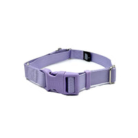 Martingale Dog Collar