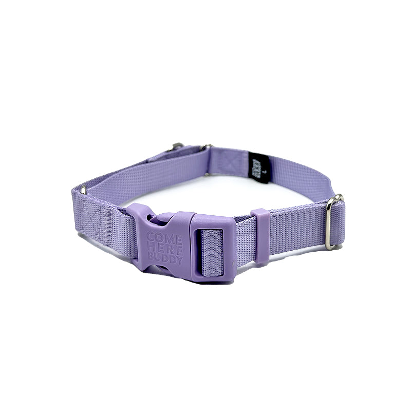 Martingale Dog Collar-Pet Collars & Harnesses-BIG FRENCHIES-Come Here Buddy