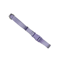 Martingale Dog Collar