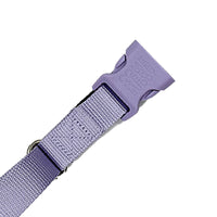 Martingale Dog Collar