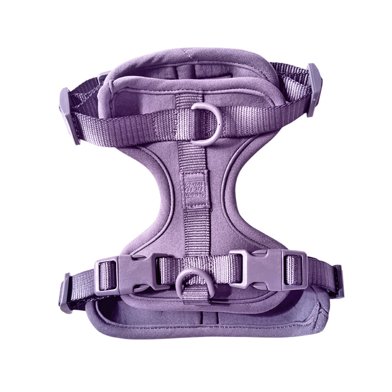 Harness-Pet Collars & Harnesses-BIG FRENCHIES-Come Here Buddy