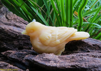 Little Bird Beeswax Candle - BIG FRENCHIES