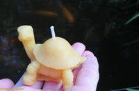Little Turtle Beeswax Candle - BIG FRENCHIES