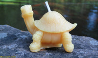 Little Turtle Beeswax Candle - BIG FRENCHIES