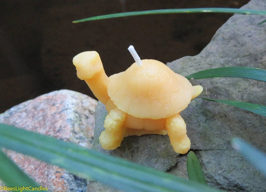 Little Turtle Beeswax Candle - BIG FRENCHIES