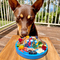 Air Nylon eCoin Lick Mat for Dogs - Durable Enrichment Toy | SodaPup - BIG FRENCHIES