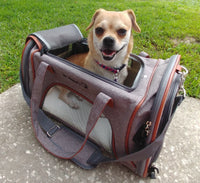 Mr. Peanut's Gold Series Standard Size Airline Compliant Pet Carrier - BIG FRENCHIES