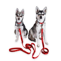 EcoBark Cherry Red Dog Leash- Padded Comfort Grip Leash with Dog Pattern - 4 ft, 5 ft, and 6 ft Leash for Small and Medium Dogs - BIG FRENCHIES