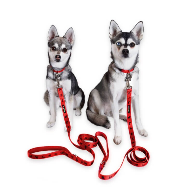 EcoBark Cherry Red Dog Leash- Padded Comfort Grip Leash with Dog Pattern - 4 ft, 5 ft, and 6 ft Leash for Small and Medium Dogs - BIG FRENCHIES