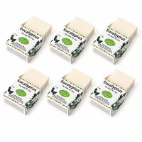 Coconut Milk Shea Butter Bar Soap – Moisturizing Cleanse