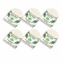 Coconut Milk Shea Butter Bar Soap – Moisturizing Cleanse