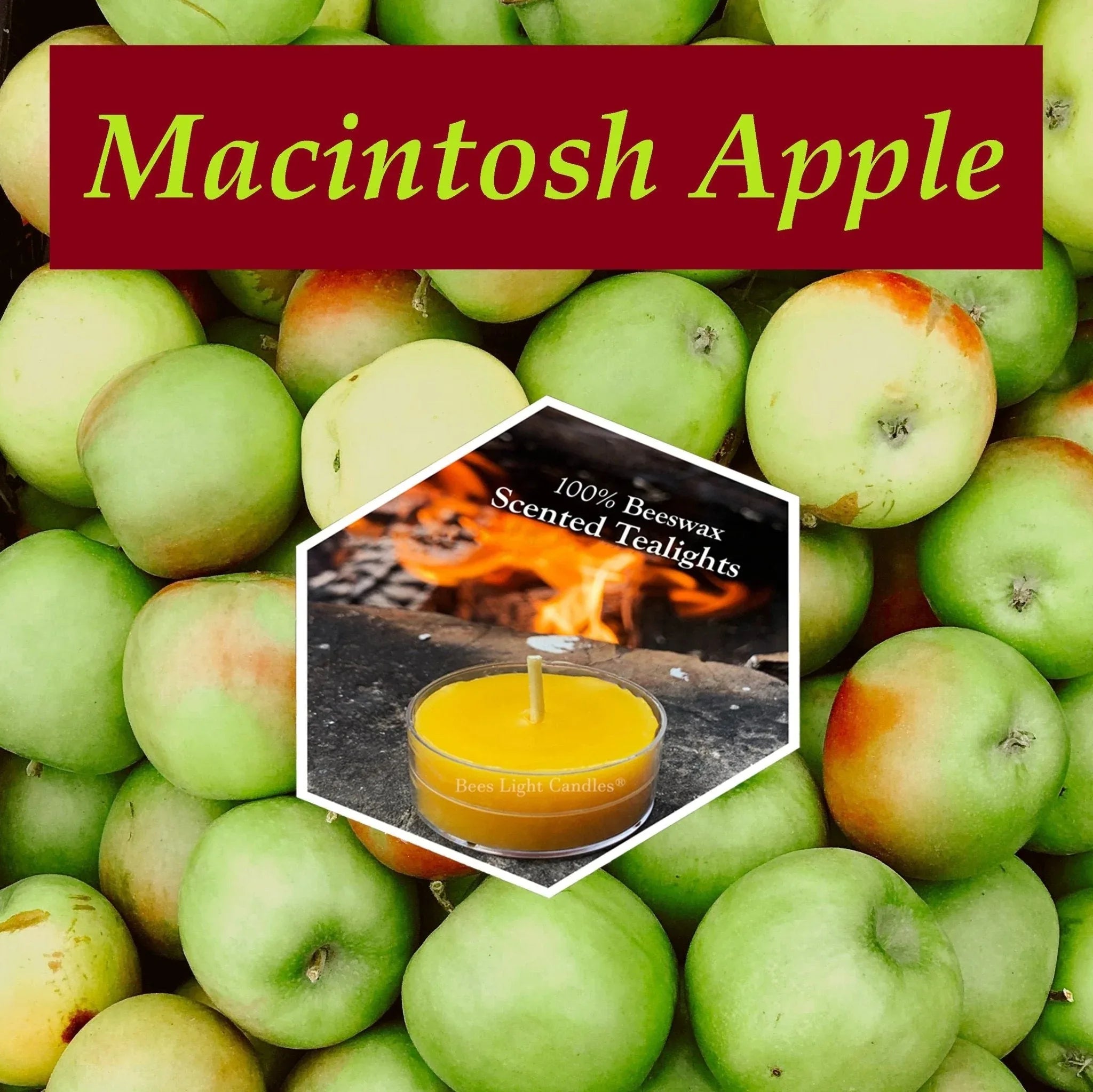 Macintosh Apple Scented Beeswax Tealight Candle - BIG FRENCHIES