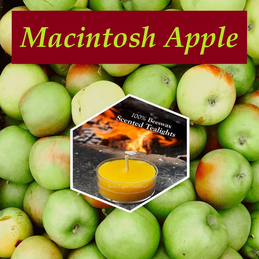 Macintosh Apple Scented Beeswax Tealight Candle - BIG FRENCHIES