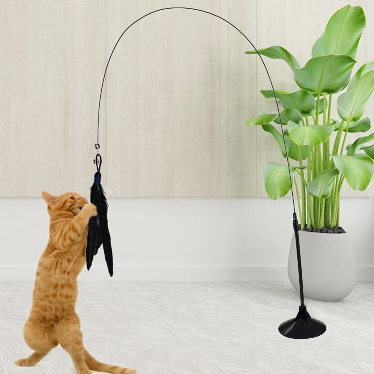 Interactive Cat Teaser Stick with Natural Feathers & Suction Cup - BIG FRENCHIES