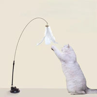 Interactive Cat Teaser Stick with Natural Feathers & Suction Cup - BIG FRENCHIES