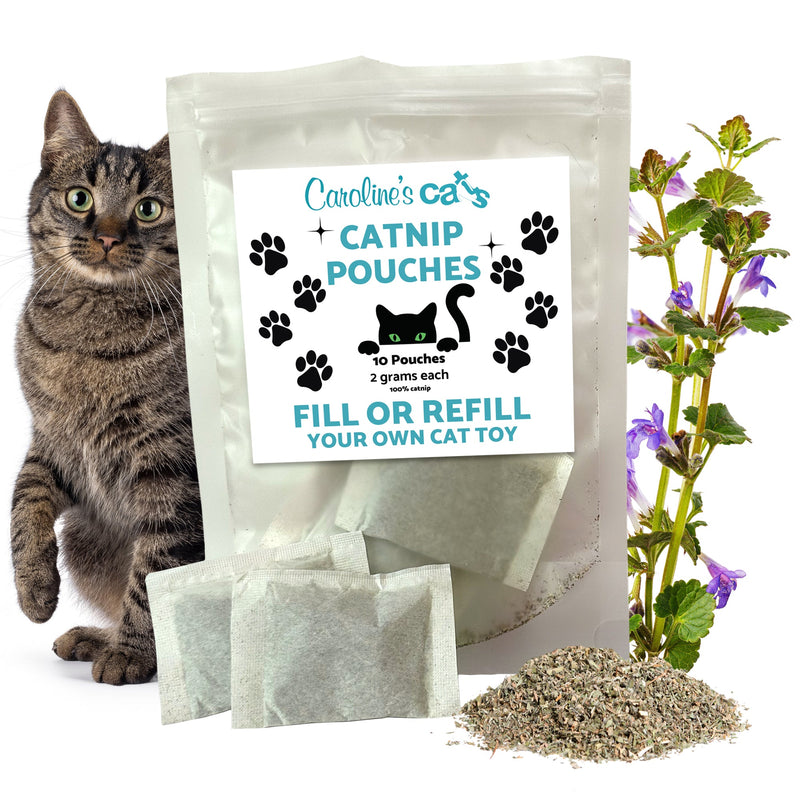 Caroline's Cats Organic Catnip Packets for Cat Toys – Refill Pouches for Flapping Bird, Flopping Fish, and More, 10 Tea Bags-Pet Toys-BIG FRENCHIES-Caroline's Cats