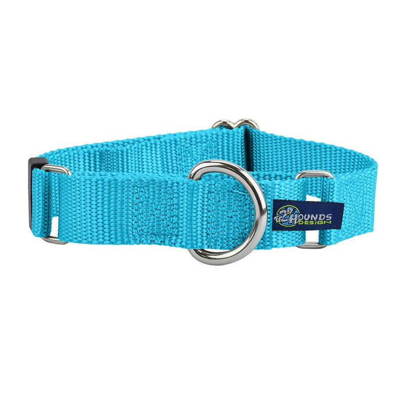 5/8″ and 1″ Turquoise Nylon Martingale Dog Collar-Pet Collars & Leashes-BIG FRENCHIES-2 Hounds Design