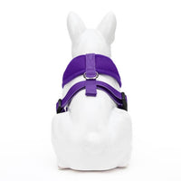 EcoBark Purple Dog Harness - Over-the-Head Soft Mesh Dog Vest Halter for Small to Medium Dogs and Puppies - BIG FRENCHIES