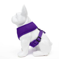 EcoBark Purple Dog Harness - Over-the-Head Soft Mesh Dog Vest Halter for Small to Medium Dogs and Puppies - BIG FRENCHIES