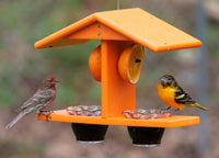AmishToyBox.com Oriole Bird Feeder, Double-Cup Jelly Oriole Feeder with Pegs for Orange Halves - BIG FRENCHIES