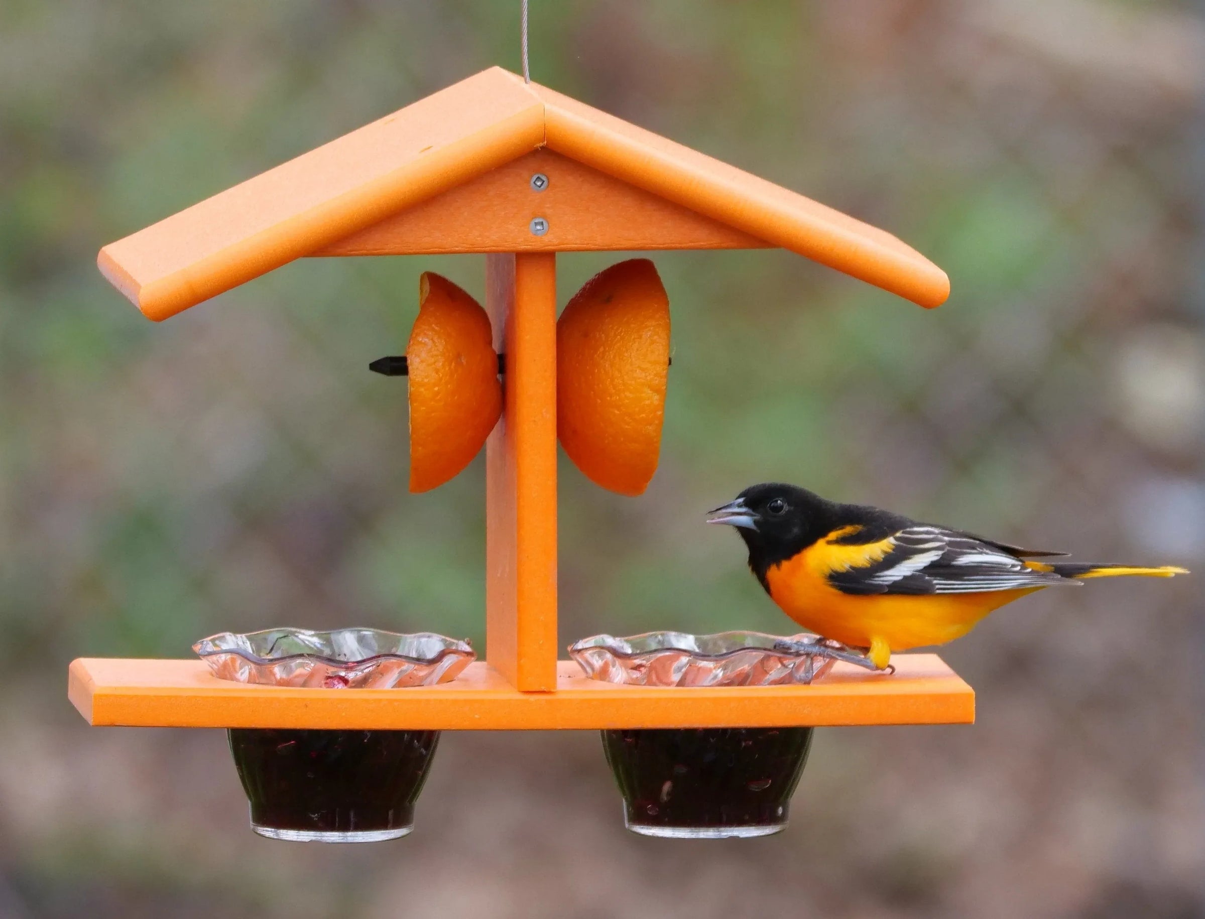 AmishToyBox.com Oriole Bird Feeder, Double-Cup Jelly Oriole Feeder with Pegs for Orange Halves - BIG FRENCHIES