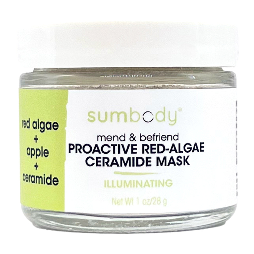 Mend & Befriend Proactive Red Algae & Ceramide Mask - BIG FRENCHIES