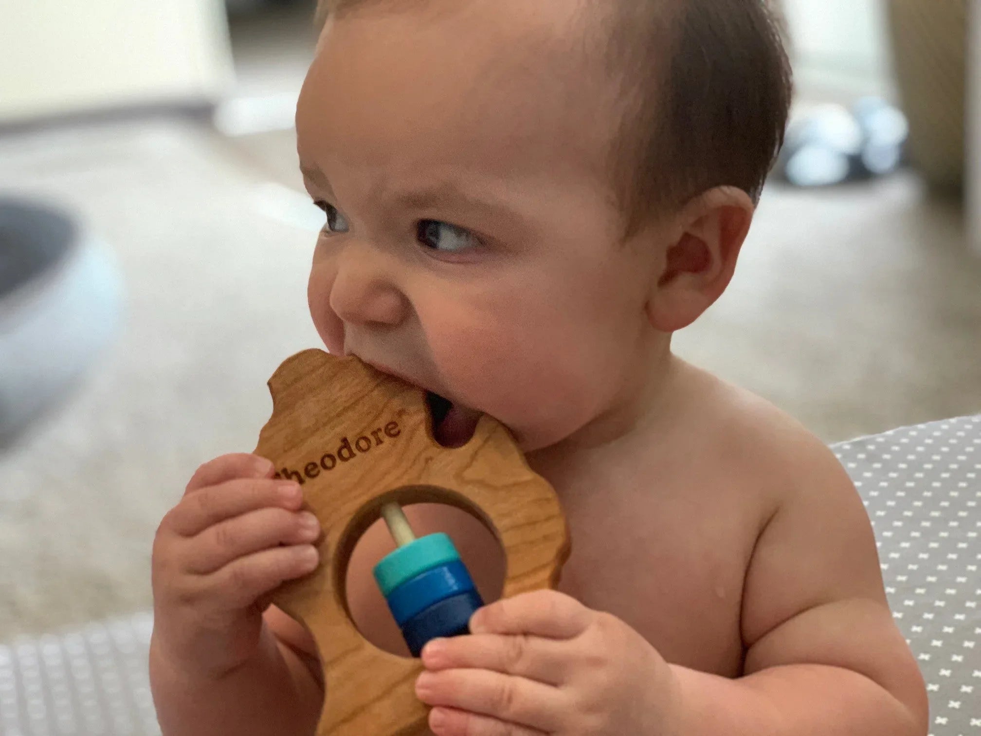 Michigan (Lower Peninsula) Wooden Baby Rattle™ - BIG FRENCHIES
