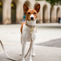 Leash 4ft - Vegan Leather - Milan