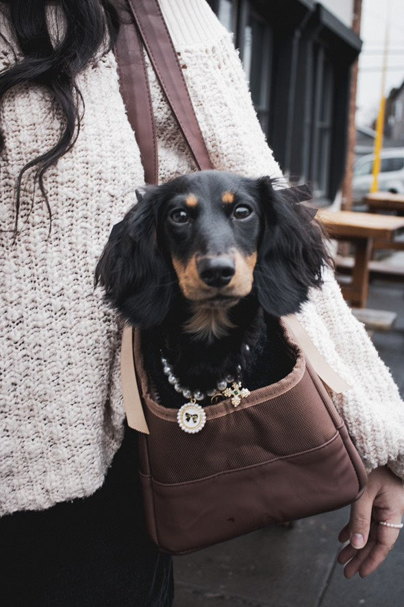 Chocolate Brown Pet Tote Bag - BIG FRENCHIES