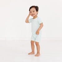 Bluegrass Picnic Short Sleeve & Shorts Bamboo Toddler Pajama Set - BIG FRENCHIES