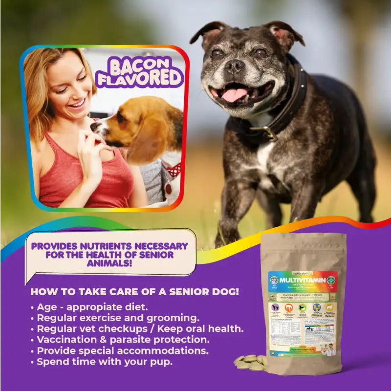 Multivitamin for Dogs & Cats. Prenatal Vitamins - BIG FRENCHIES