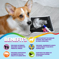 Multivitamin for Dogs & Cats. Prenatal Vitamins - BIG FRENCHIES