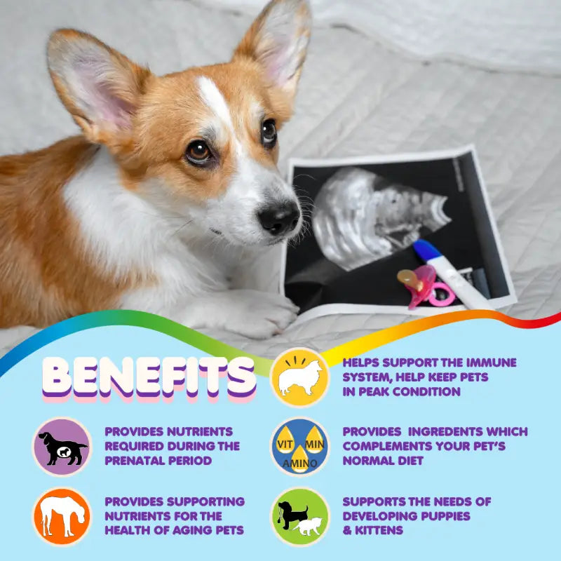 Multivitamin for Dogs & Cats. Prenatal Vitamins - BIG FRENCHIES