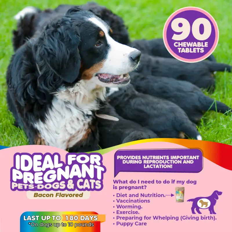 Multivitamin for Dogs & Cats. Prenatal Vitamins - BIG FRENCHIES