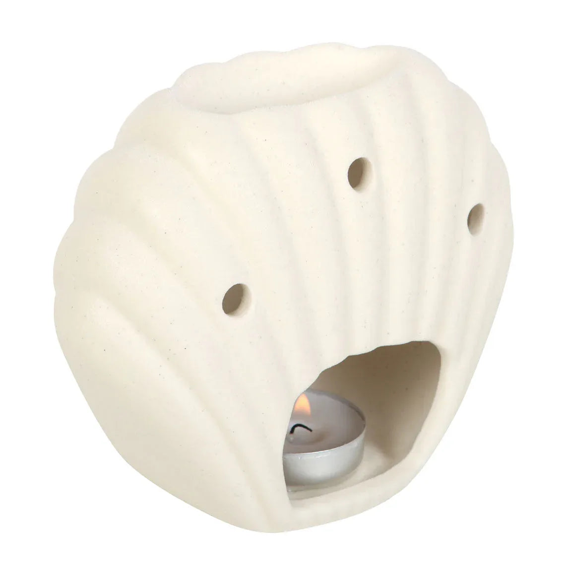 Nautical Seashell Oil Burner and Wax Warmer - BIG FRENCHIES