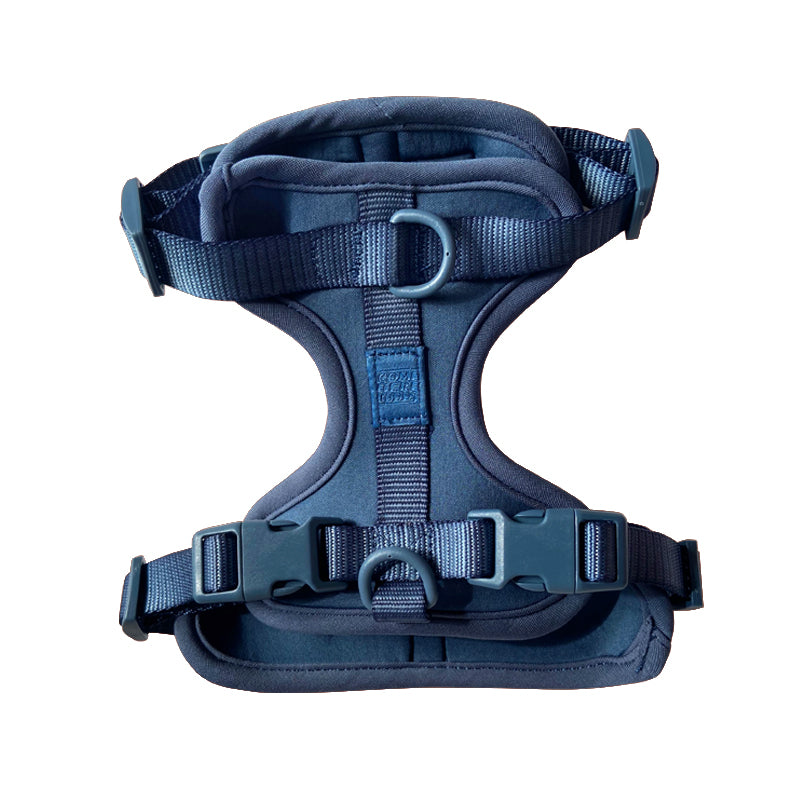 Harness-Pet Collars & Harnesses-BIG FRENCHIES-Come Here Buddy